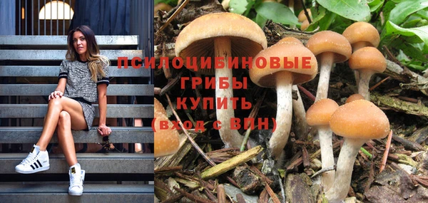 спиды Верхний Тагил