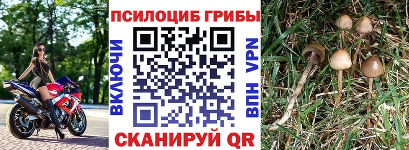Галлюциногенные грибы прущие грибы  Горняк 